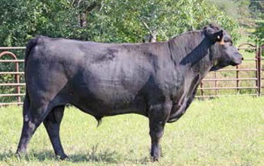 Lot 17 - 823T 0065X 5134D ET